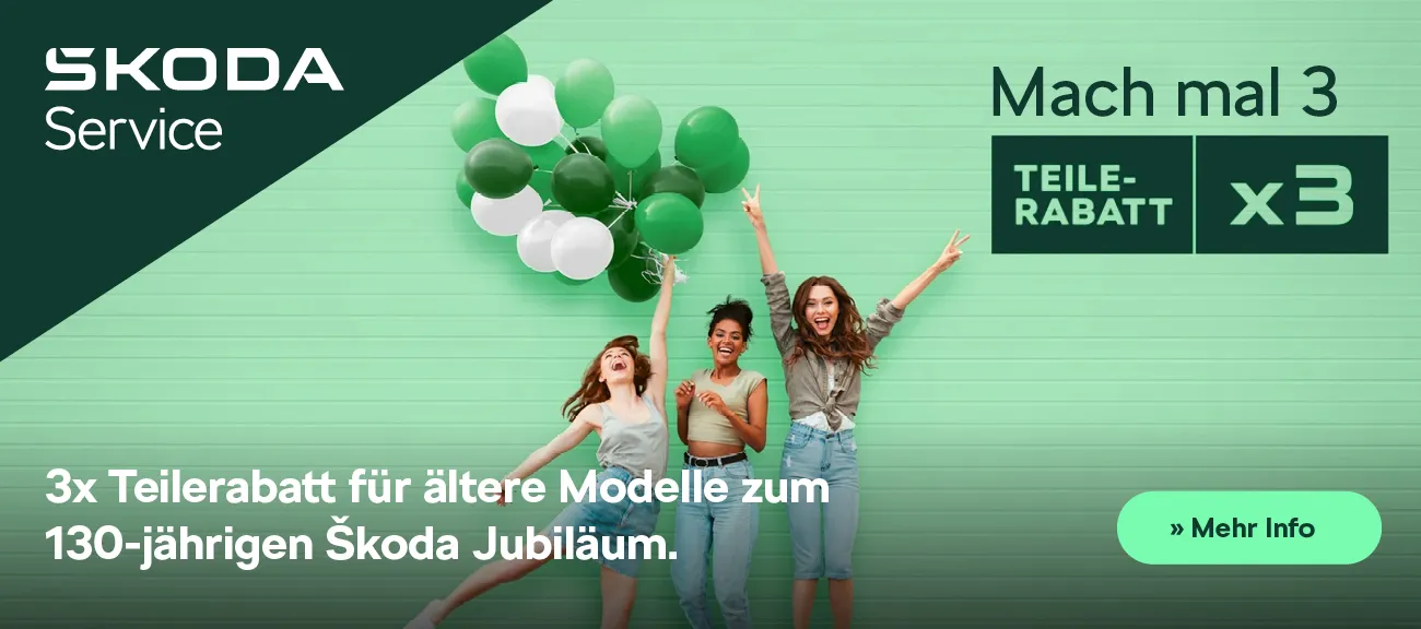 Skoda Service Teilerabatt x3