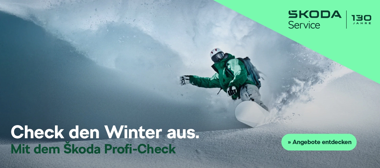 Skoda Winter-Service Angebote